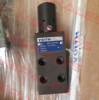 DK55.1-6-250P-391K Voith