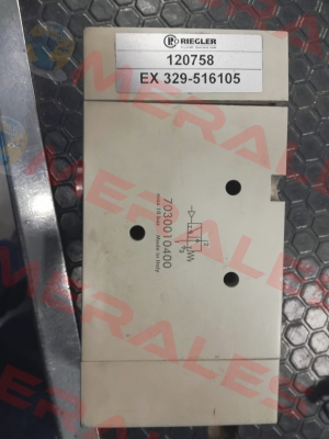 120758 EX 329-516105 Riegler