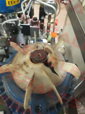 Fan for N 16785 Euromotori