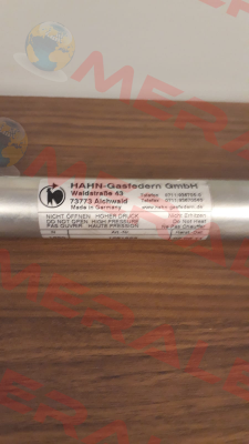 G14-28-28ST-00307 Hahn Gasfedern