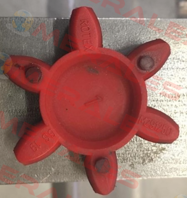 GS 19 (550191000002) Rotex