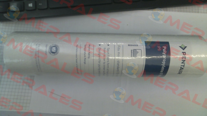 PN: 155225-43 Type: P1 9 7/8" Pentek (Pentair)