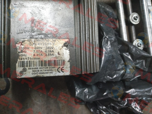 G14V1500S-10 Sesame Motor