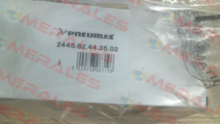 2445.62.44.35.02 Pneumax