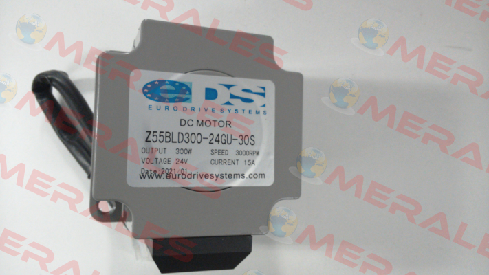 Z5BLD300 300W 24V 3000 rpm ZD-Motors