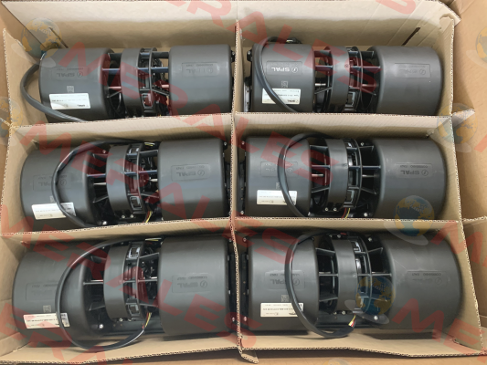 020-BBL331P/N-95 24V -W/PACK (Qty 6) SPAL