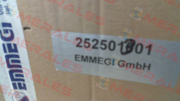 2024K 2pass (252501301) Emmegi