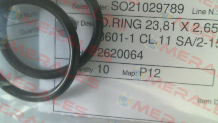 2620064 Pietro Fiorentini
