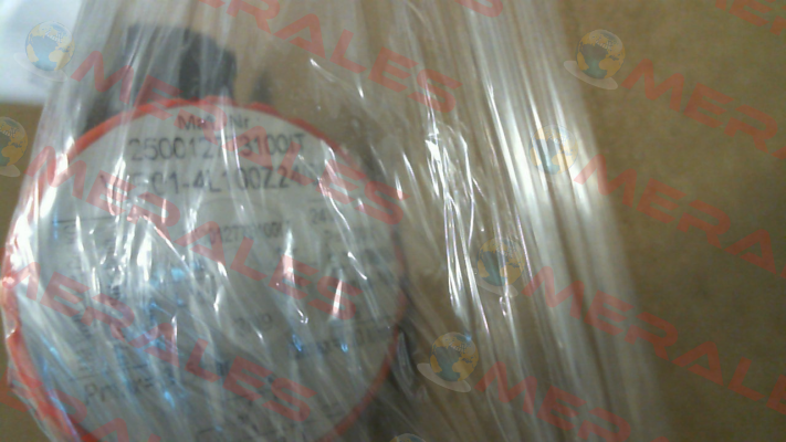 WE01-4L100Z24/0H Voith