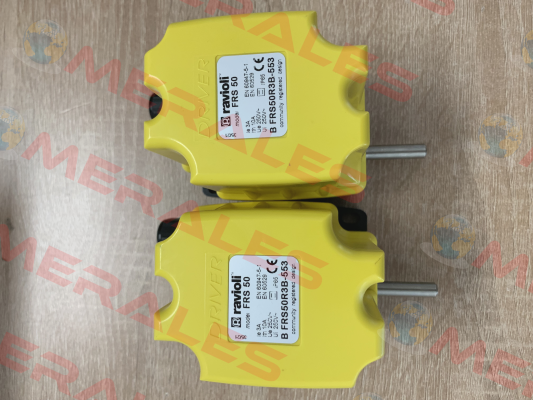 BFRS50R3B-553 Ravioli