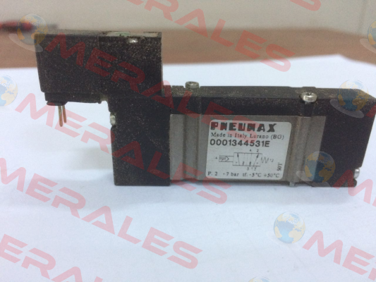 0001344531E  Pneumax