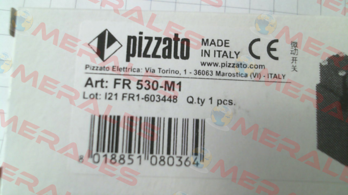 FR 530-M1 Pizzato Elettrica