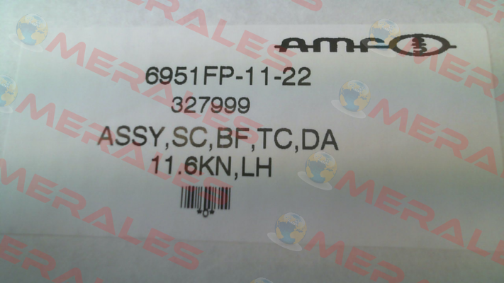 327973 \ 6951FP-11-21 Amf