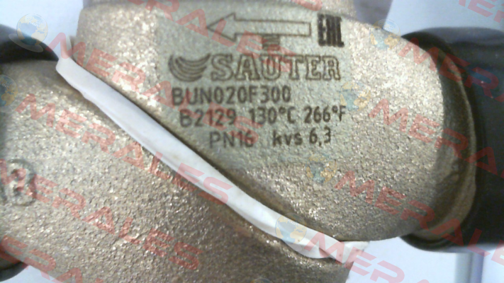 BUN020F300 Sauter