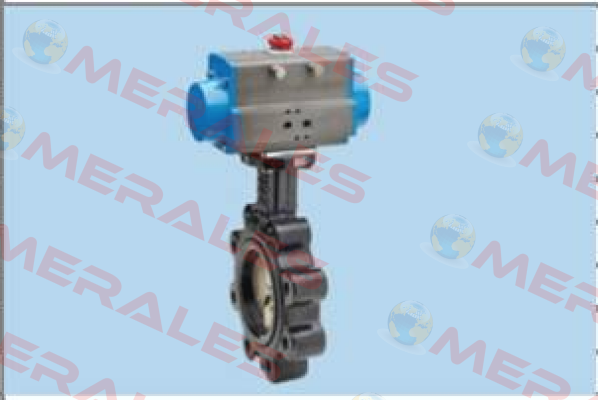 8P021000 DN80 Valbia