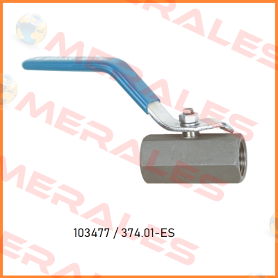 103477 / 374.01-ES Riegler