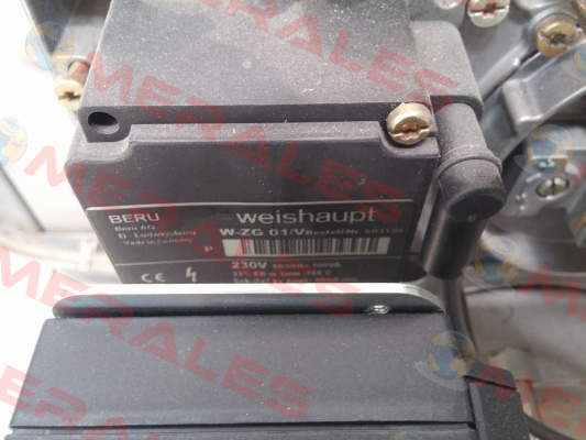 W-ZG01 Weishaupt