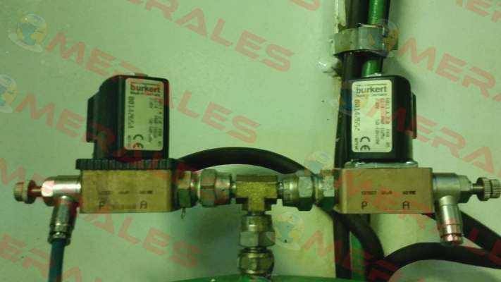 00142654  Burkert