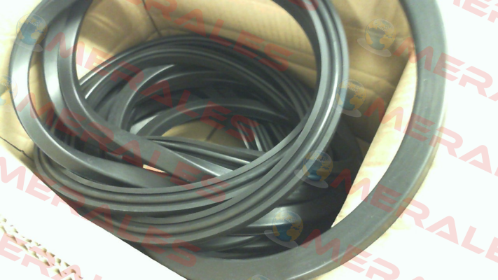 RD Gasket D471 NBR RD560 Rahmer+Jansen