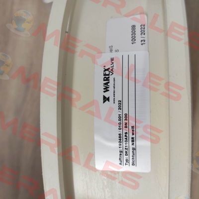 WX6000 for DKZ110APS DN 300 Warex