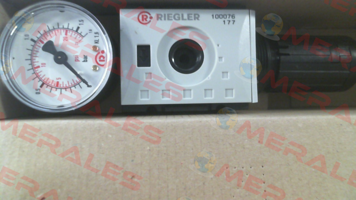 100076 / FU 7401 Riegler