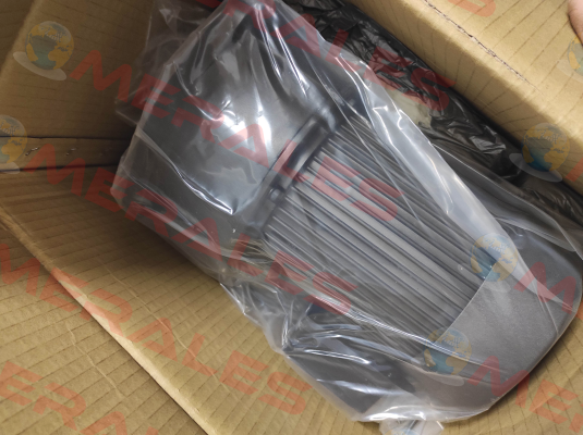 G13V400S-100 Sesame Motor