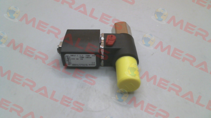 427919 Burkert