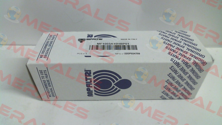 MF-100-3-A10-H-B-P01 MP Filtri