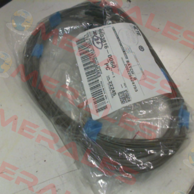 9603816-0060 Celesco