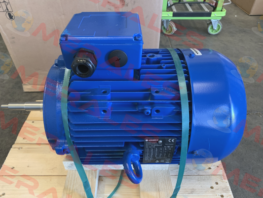 PLM132B14 S2 350 IE3  / 50A17VH00 Lowara
