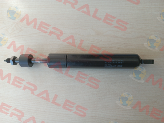 0381AE Stabilus