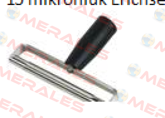 04310132   Erichsen