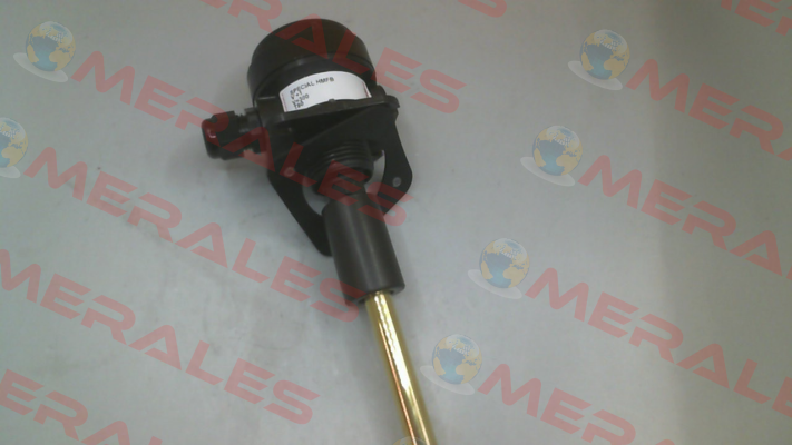 HMFB V+1 T80 V=300 Hemomatik