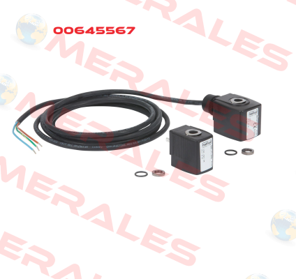 00645567 Burkert