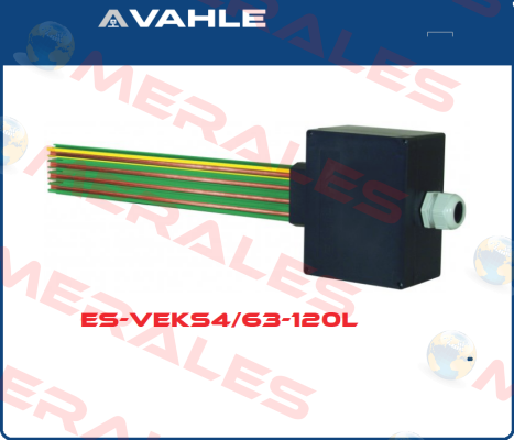 P/n: 0156421/00, Type: ES-VEKS4/63-120L Vahle