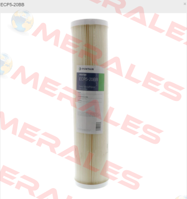 ECP1-20BB Pentek (Pentair)