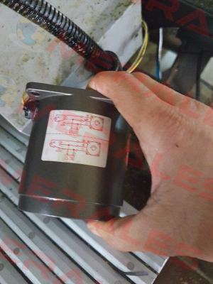 4IK25GN-C Sesame Motor