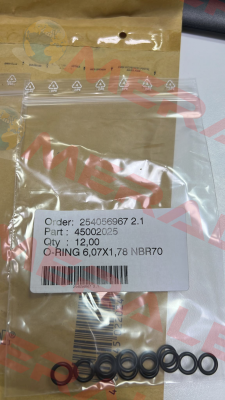 45002025 Itron