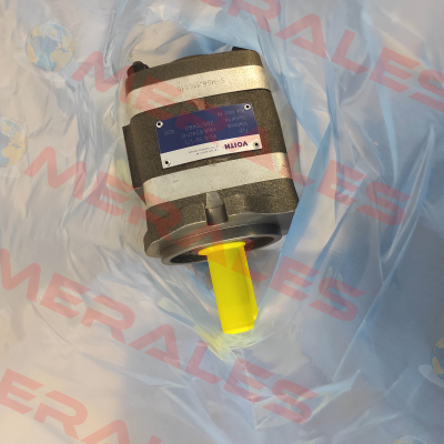 IPV 4/-16/ 171 Voith