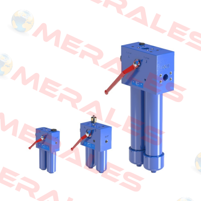 FHD-326-2-B-A-G1-A10-R-P01 MP Filtri