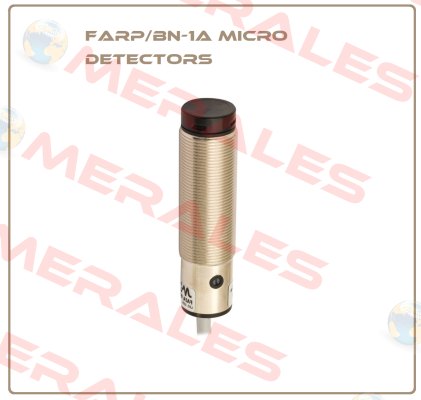 FARP/BN-1A Micro Detectors / Diell (now Datasensing)