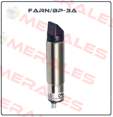 FARN/BP-3A Micro Detectors / Diell (now Datasensing)
