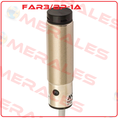 FAR3/BP-1A Micro Detectors / Diell (now Datasensing)