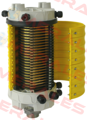 G PRP B12 Ravioli