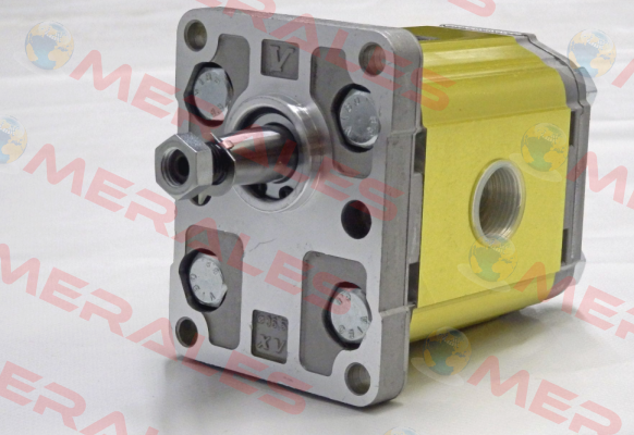 XV-2M/11 cm3/rev X2M4701EBBE Vivoil Oleodinamica Vivolo