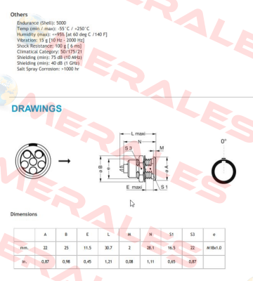 EGG.3B.306.CLL Lemo