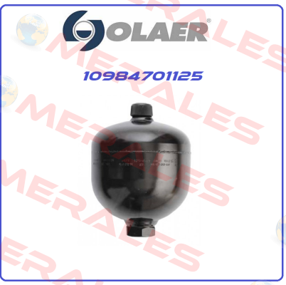 10984701125 Olaer (Parker)