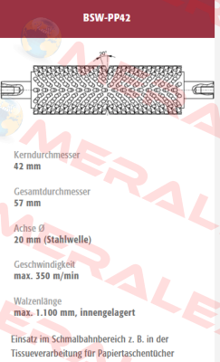BSW-PP42-232176 old code / new code BSW-PP42-232176/1 Mink Bürsten