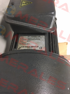G13H200S-100 Sesame Motor