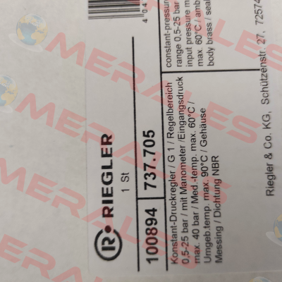 100894 / 737.705 Riegler